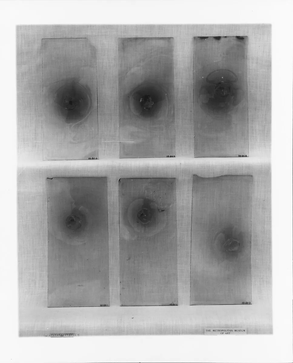 Windowpane — Unknown