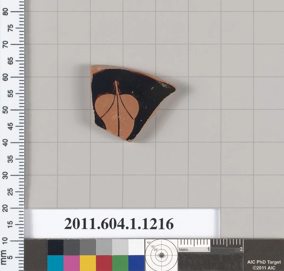 Terracotta fragment of a kylix (drinking cup) — Unknown
