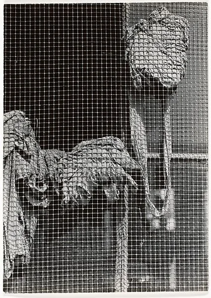 Gloucester — Aaron Siskind