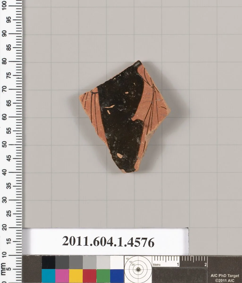 Terracotta fragment of a kylix (drinking cup) — Unknown