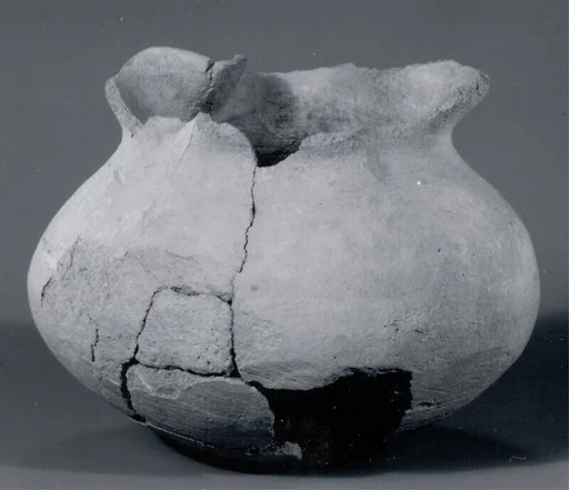 Jug