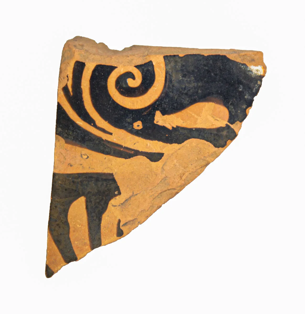 Volute-krater fragment — Unknown