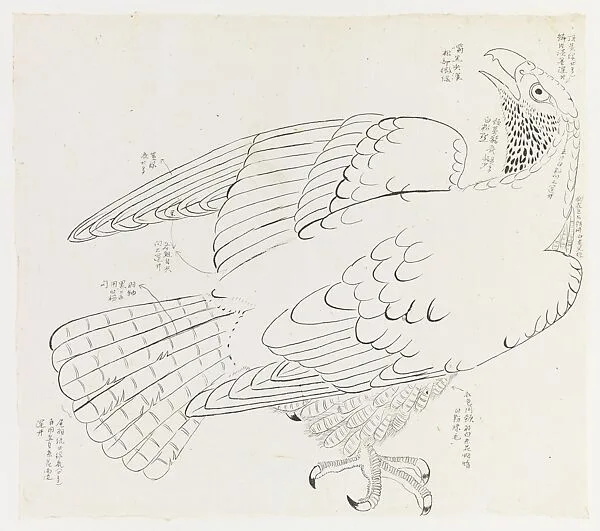 現代 謝稚柳 鷹圖 鏡片|Hawk with notes — Xie Zhiliu