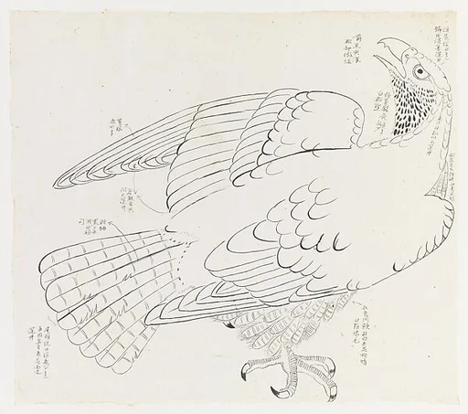 現代 謝稚柳 鷹圖 鏡片|Hawk with notes
