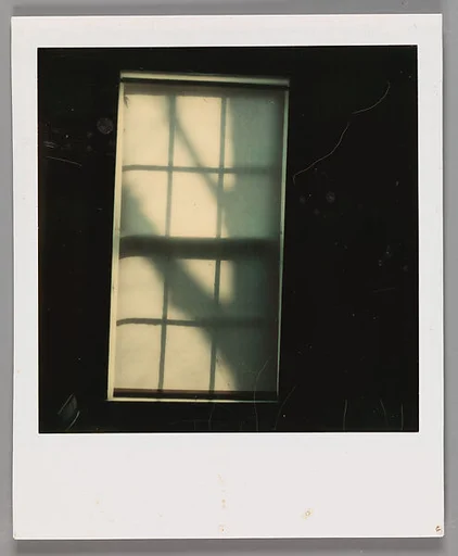 [Tree Shadow on Shade in Window]