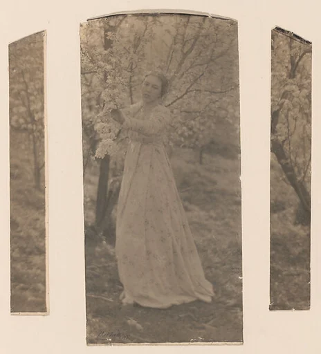 Spring–A Triptych