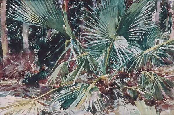 Palmettos — John Singer Sargent
