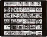 [Contact Sheet from Canadian Assignment]