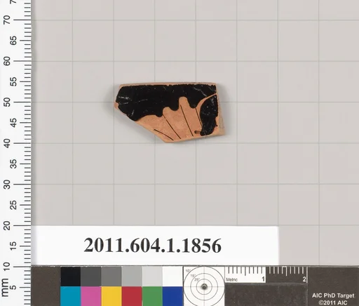Terracotta rim fragment of a kylix (drinking cup)