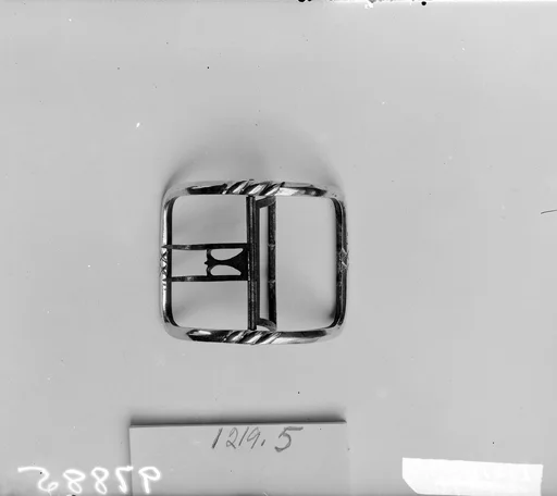 Shoe Buckle