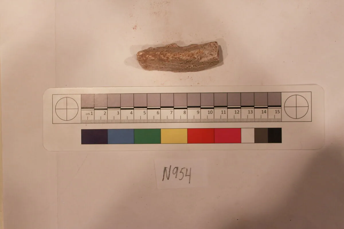 Stucco Fragment — Unknown