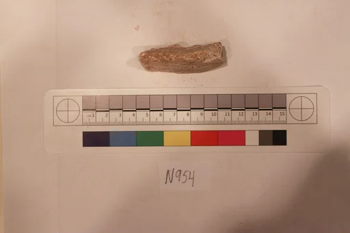 Stucco Fragment