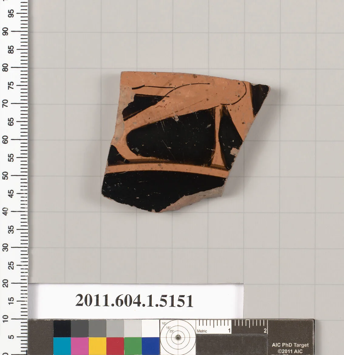 Terracotta fragment of a kylix (drinking cup) — Unknown