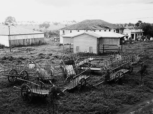 [Wagons and Farm Buildings of Sugar Plantation, Cuba]