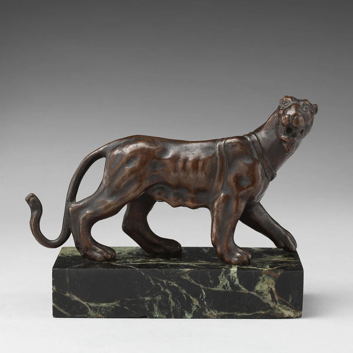 Lioness — Unknown