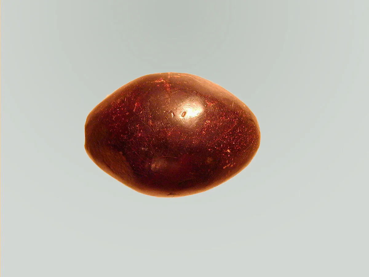 Fibula — Unknown