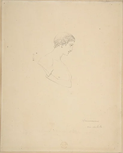 Classical Male Bust in Profile