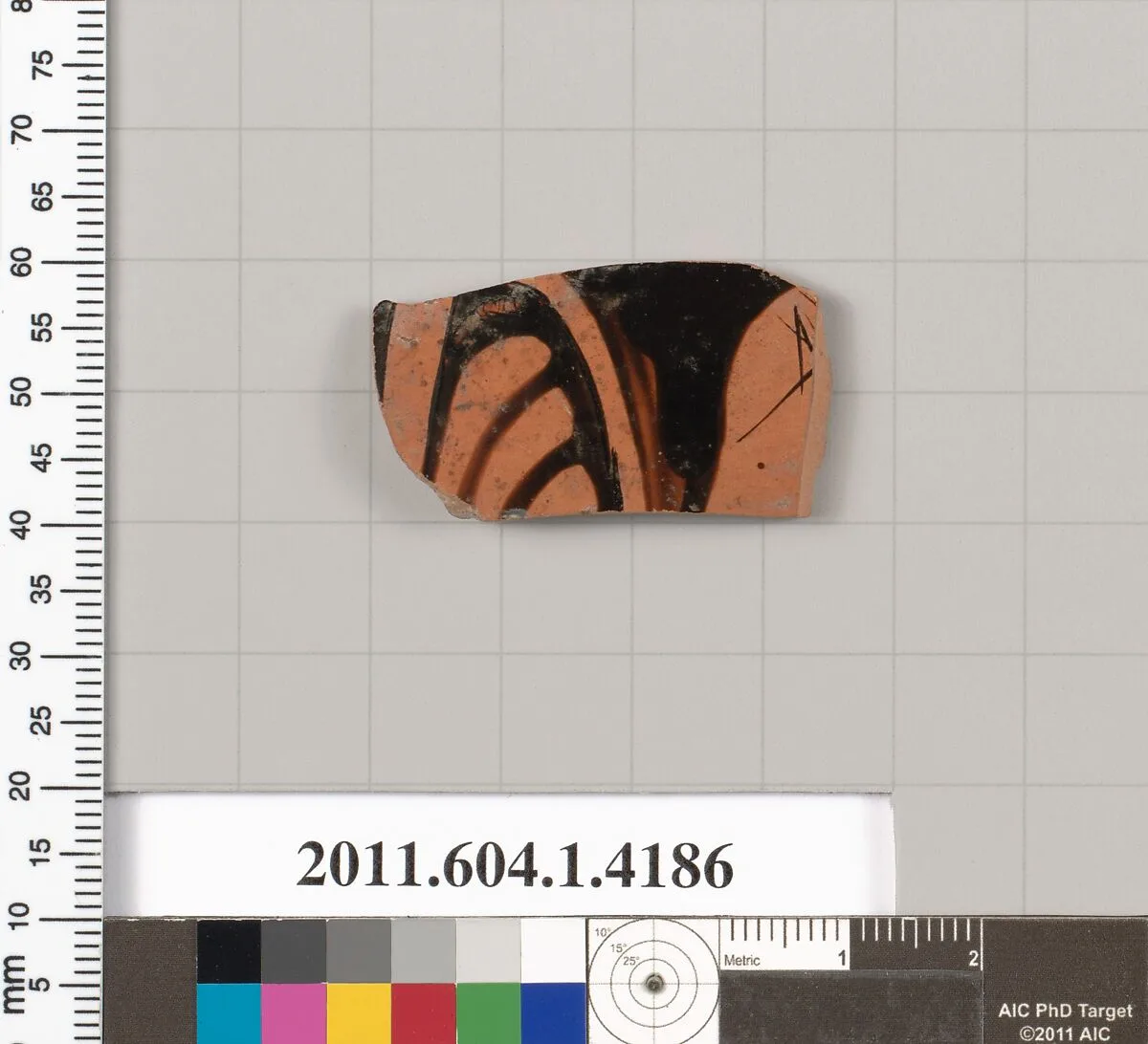 Terracotta fragment of a kylix (drinking cup) — Unknown
