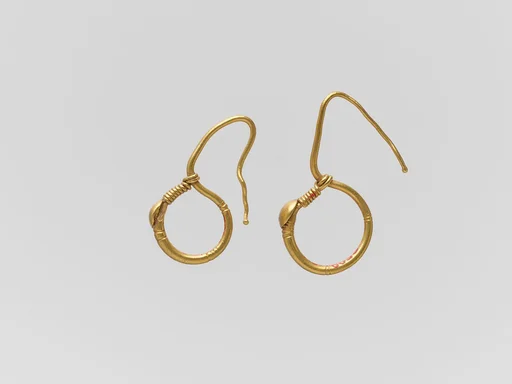 Gold earring with ring and hook