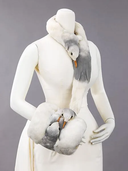 Accessory set — Unknown