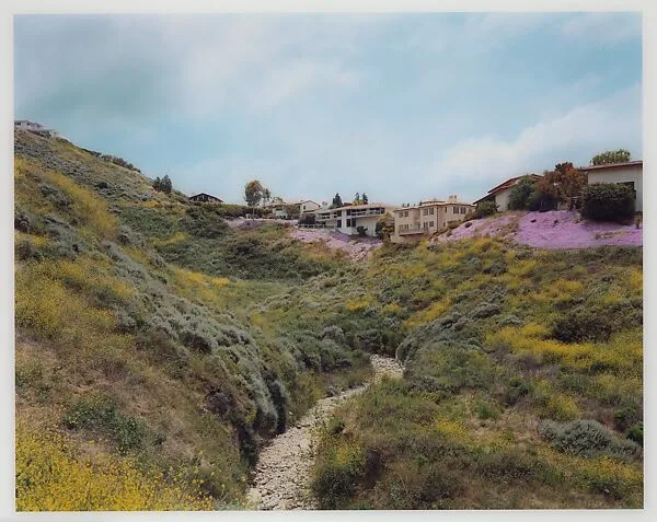 Untitled — Mark Wyse