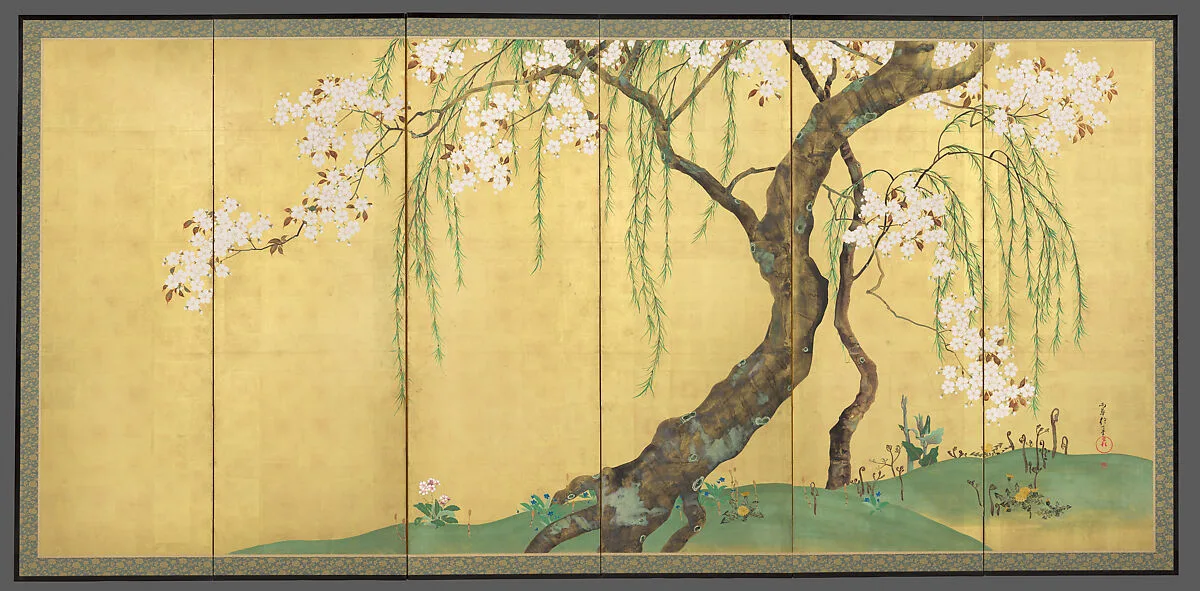 酒井抱一筆 桜楓図屏風|Cherry and Maple Trees — Sakai Hōitsu