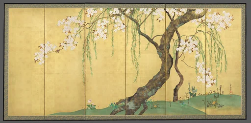 酒井抱一筆 桜楓図屏風|Cherry and Maple Trees