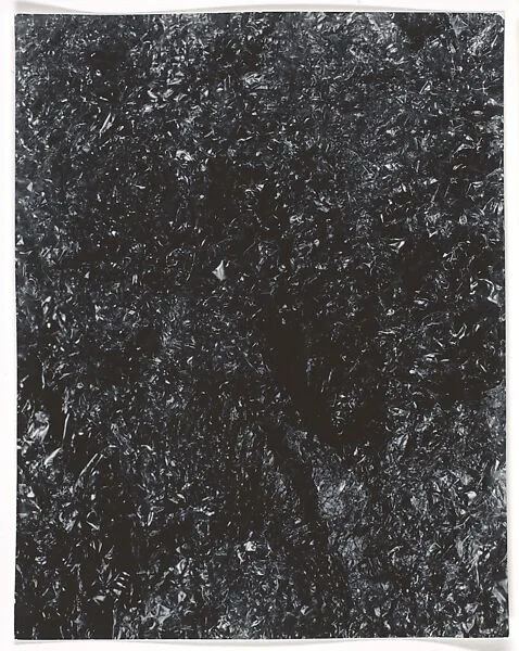 2-29 II — James Welling