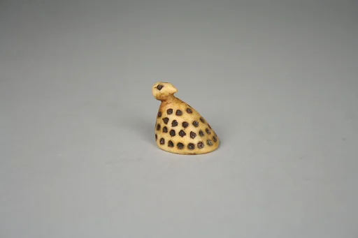 Water Bird