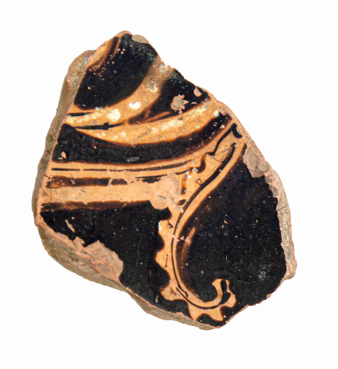 Volute-krater fragment — Unknown