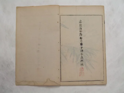 芥子園畫傳|The Mustard Seed Garden Painting Manual