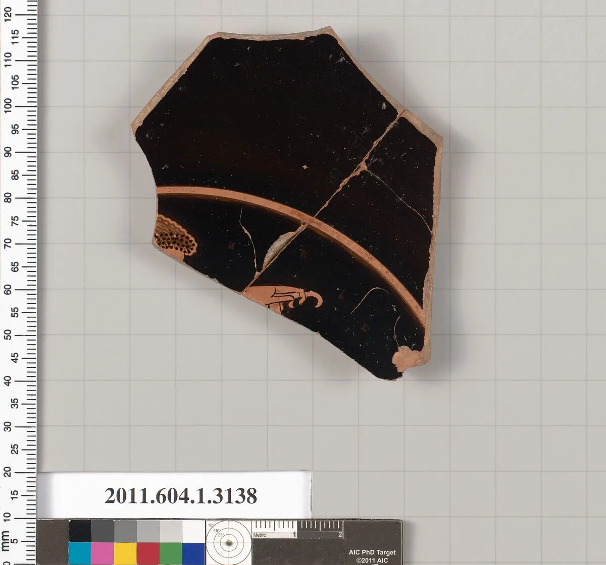 Terracotta fragment of a kylix (drinking cup) — Unknown