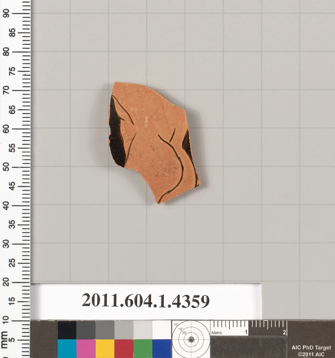 Terracotta fragment of a kylix (drinking cup) — Unknown