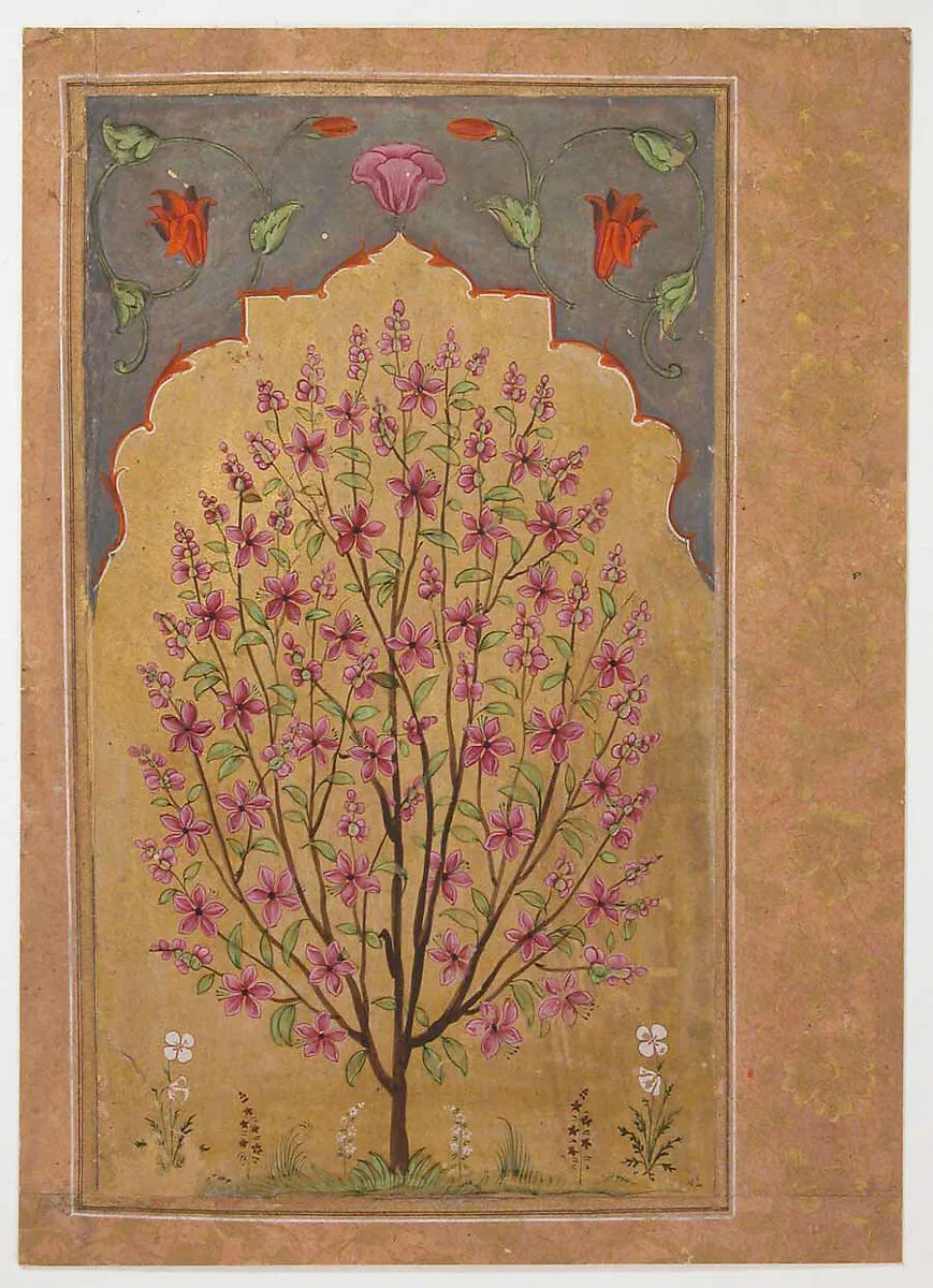 Flowering Tree — Unknown
