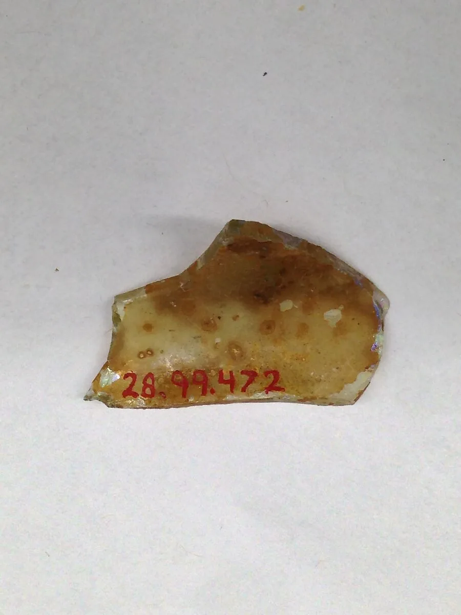 Fragment — Unknown