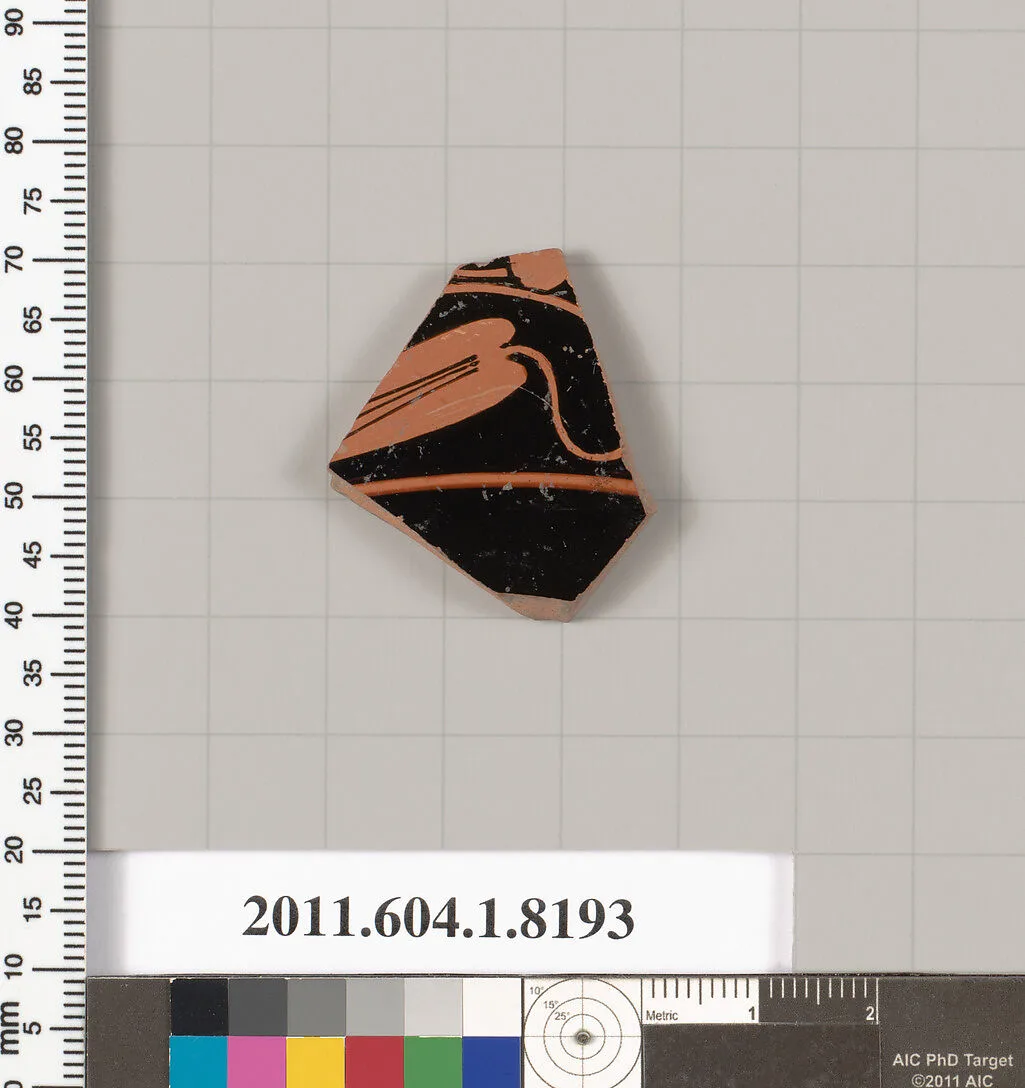 Terracotta fragment of a kylix (drinking cup) — Unknown
