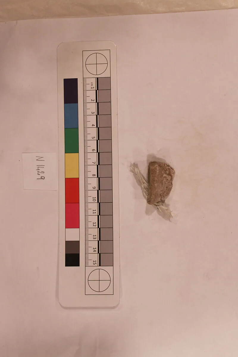 Stucco Fragment — Unknown