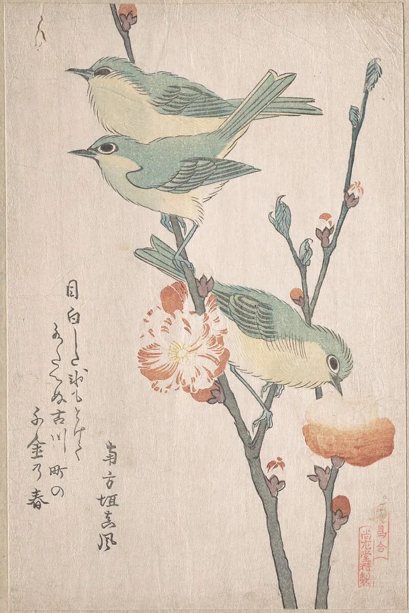『鳥合』 桃花に目白|Japanese White-eyes on a Branch of Peach Tree,” from the Series An Array of Birds (Tori awase), from Spring Rain Surimono Album (Harusame surimono-jō, vol. 3) — Kubo Shunman