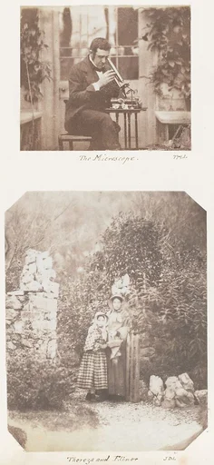 The Microscope; Thereza and Elinor