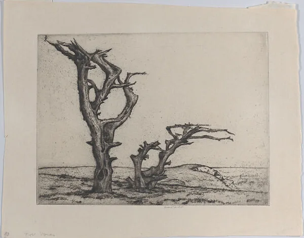 Tree Bones — Ernest Haskell