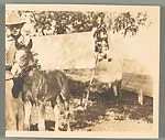 [Unidentified Boy with Pony]