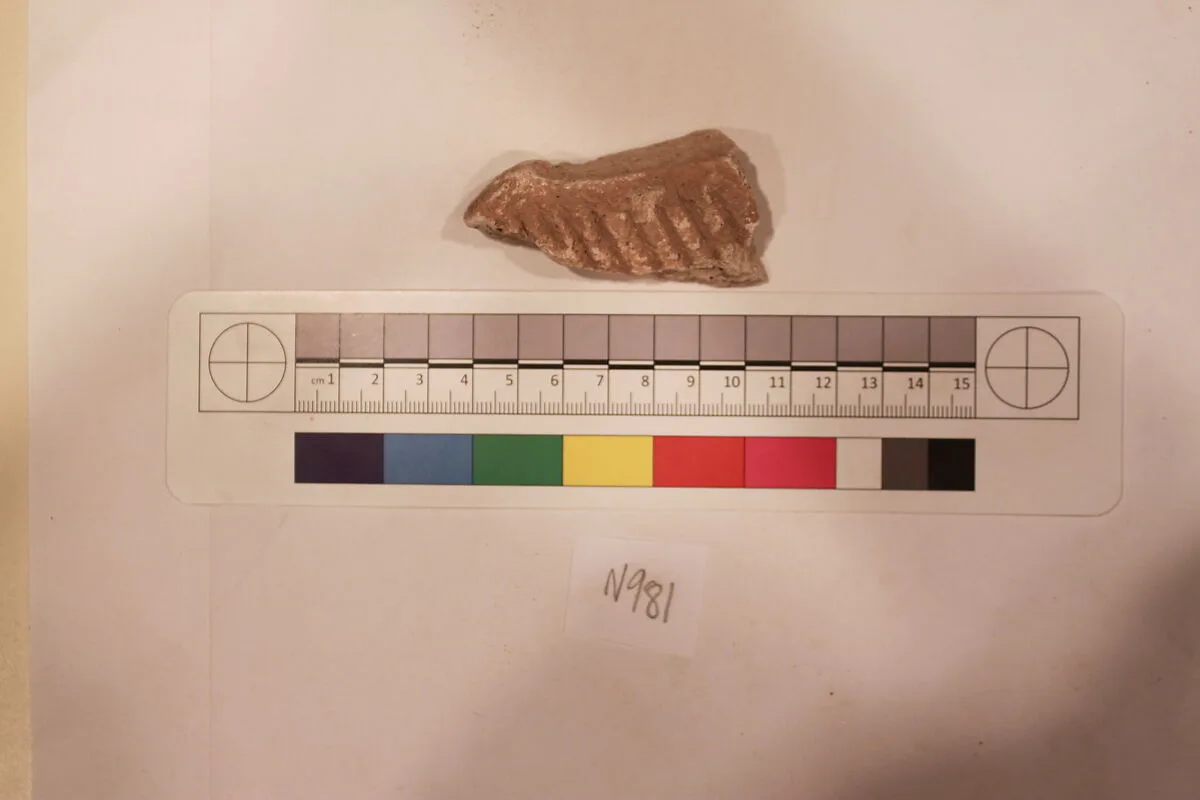 Stucco Fragment — Unknown