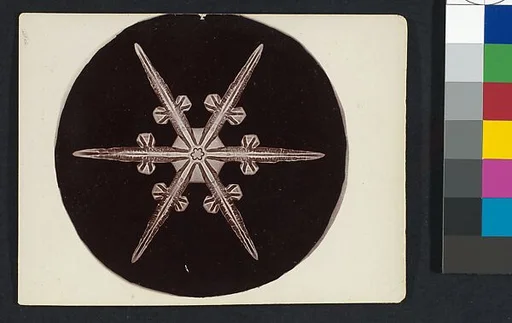 [Snow Crystal]