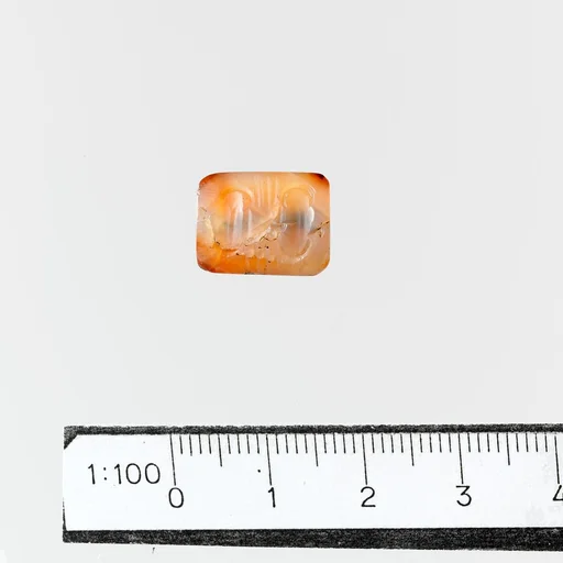 Seal