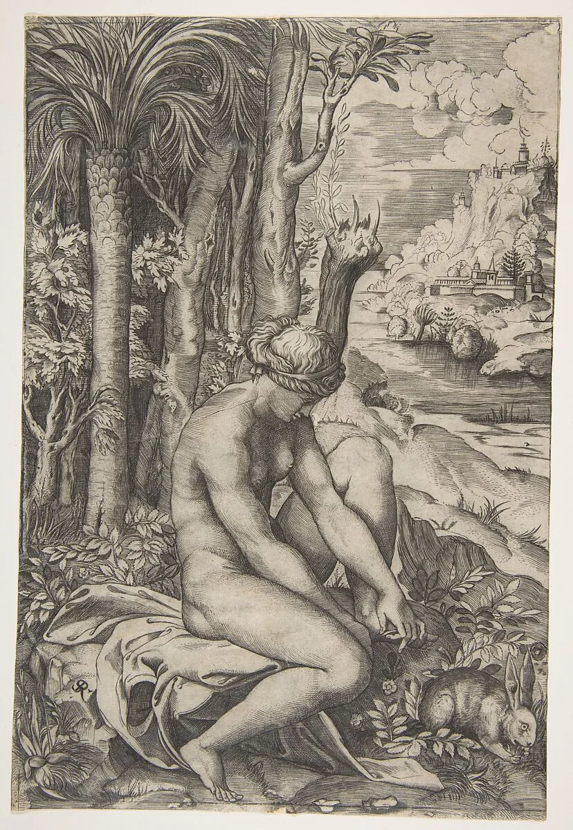 Venus removing a thorn from her left foot while seated beside trees and foliage, a hare eating grass before her — Marco Dente|Raphael (Raffaello Sanzio or Santi)