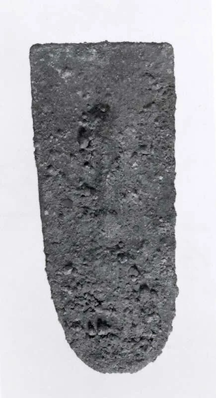 Armor scales — Unknown