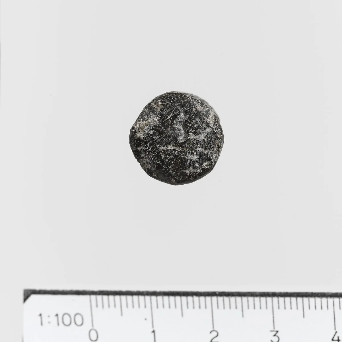 Seal — Unknown