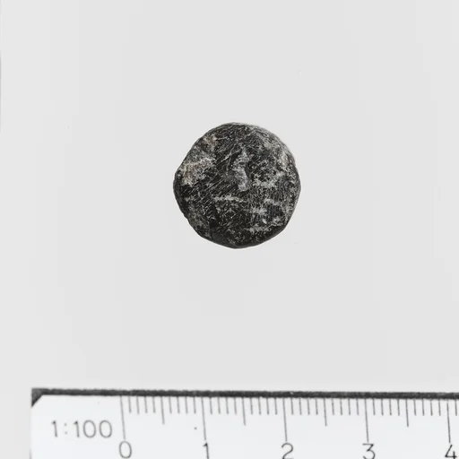 Seal