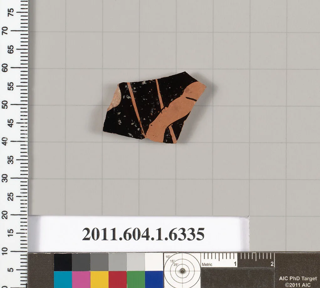 Terracotta fragment of a kylix (drinking cup) — Unknown