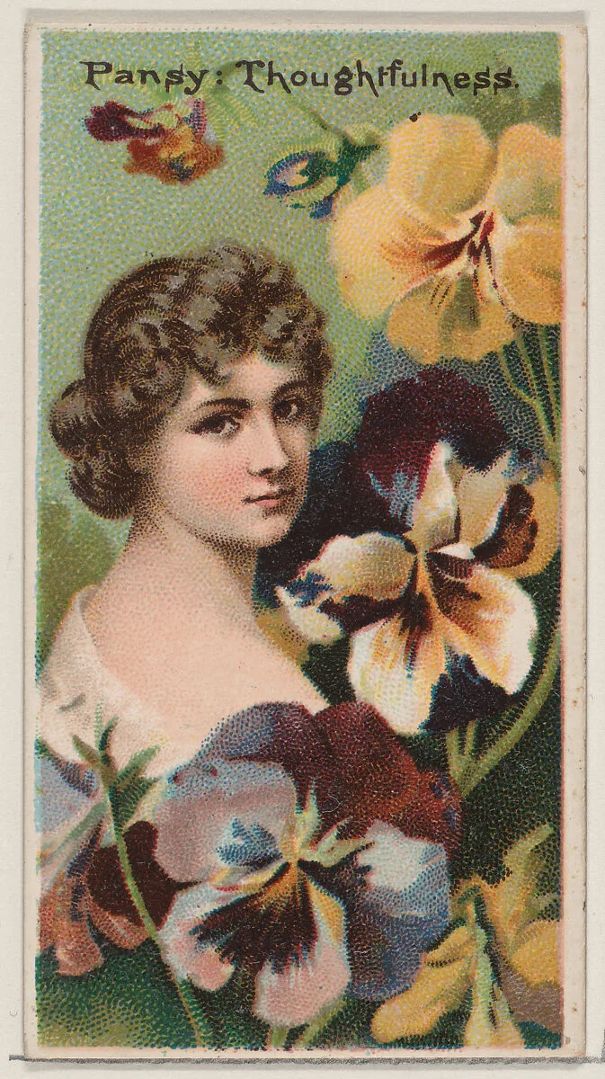 Pansy: Thoughtfulness, from the series Floral Beauties and Language of Flowers (N75) for Duke brand cigarettes — Donaldson Brothers|American Tobacco Company